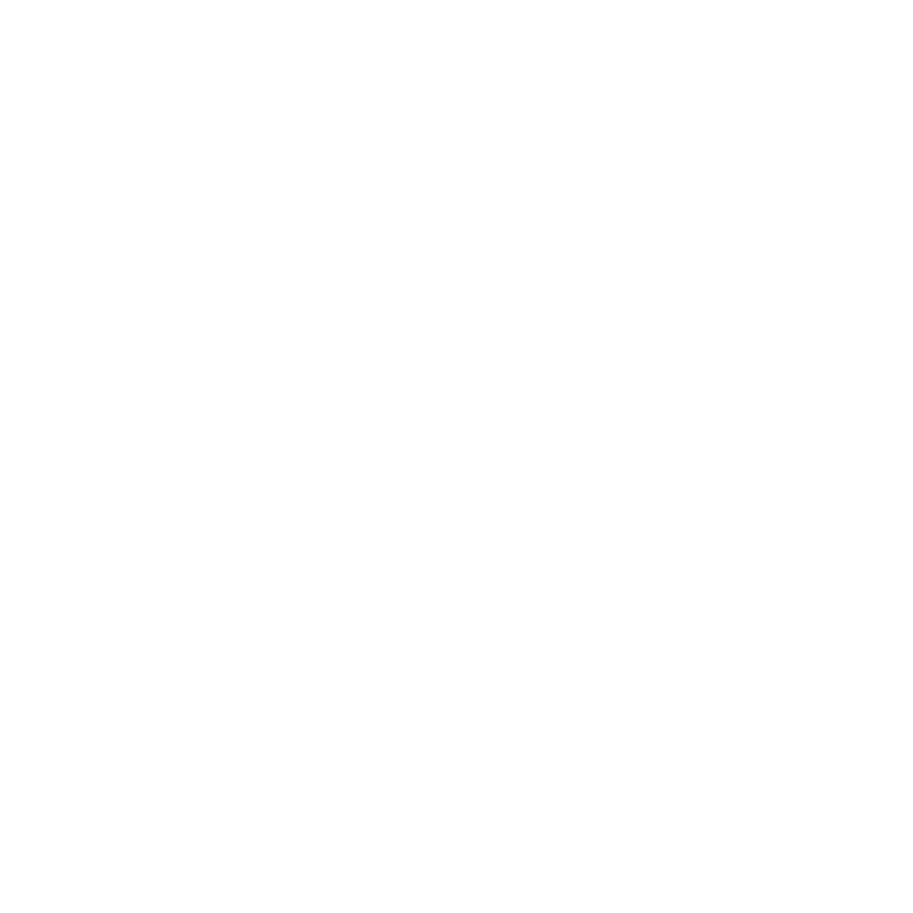 The Fakers